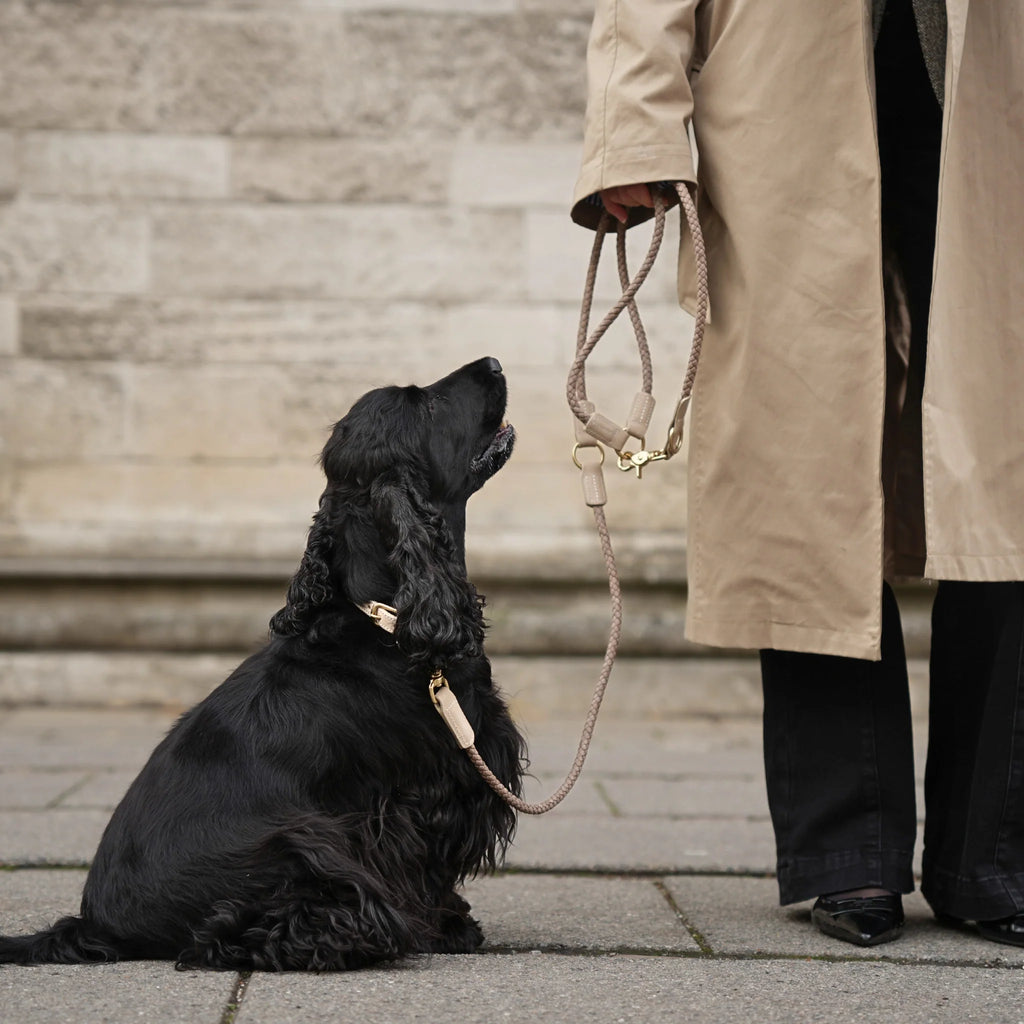 KAIA BRAIDED DOG LEASH | TAUPE