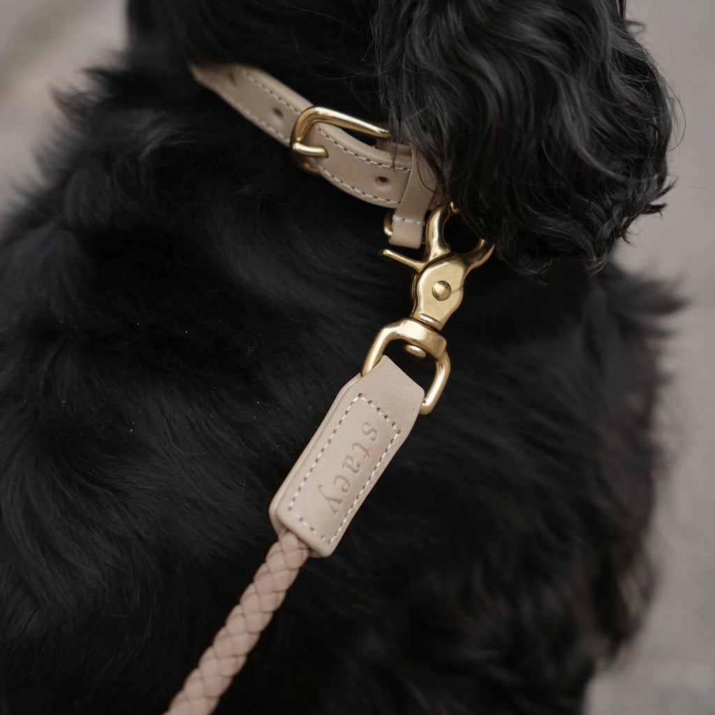 KAIA BRAIDED DOG LEASH | TAUPE