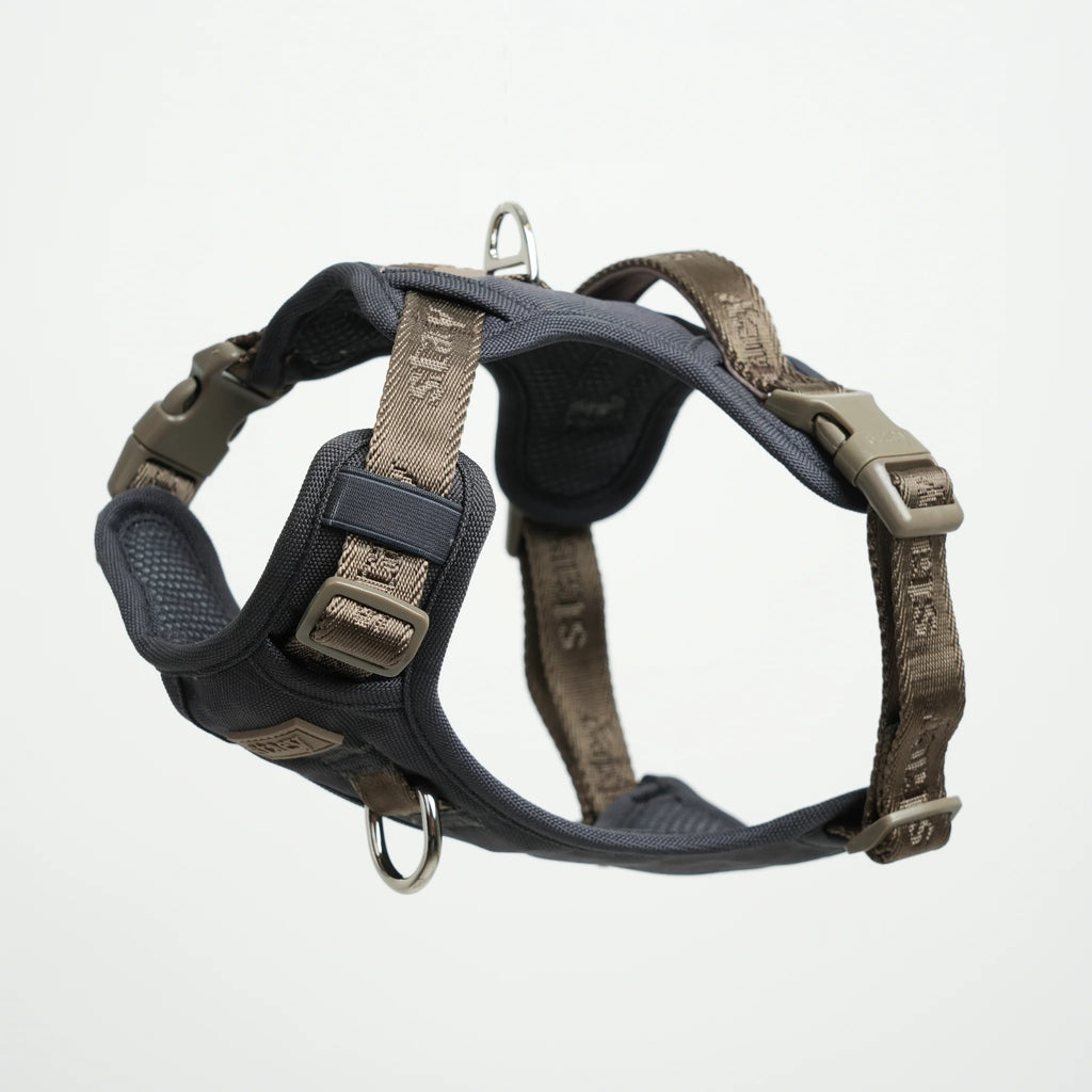 Elma Active Dog Harness | Storm