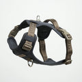 Elma Active beisli | Storm