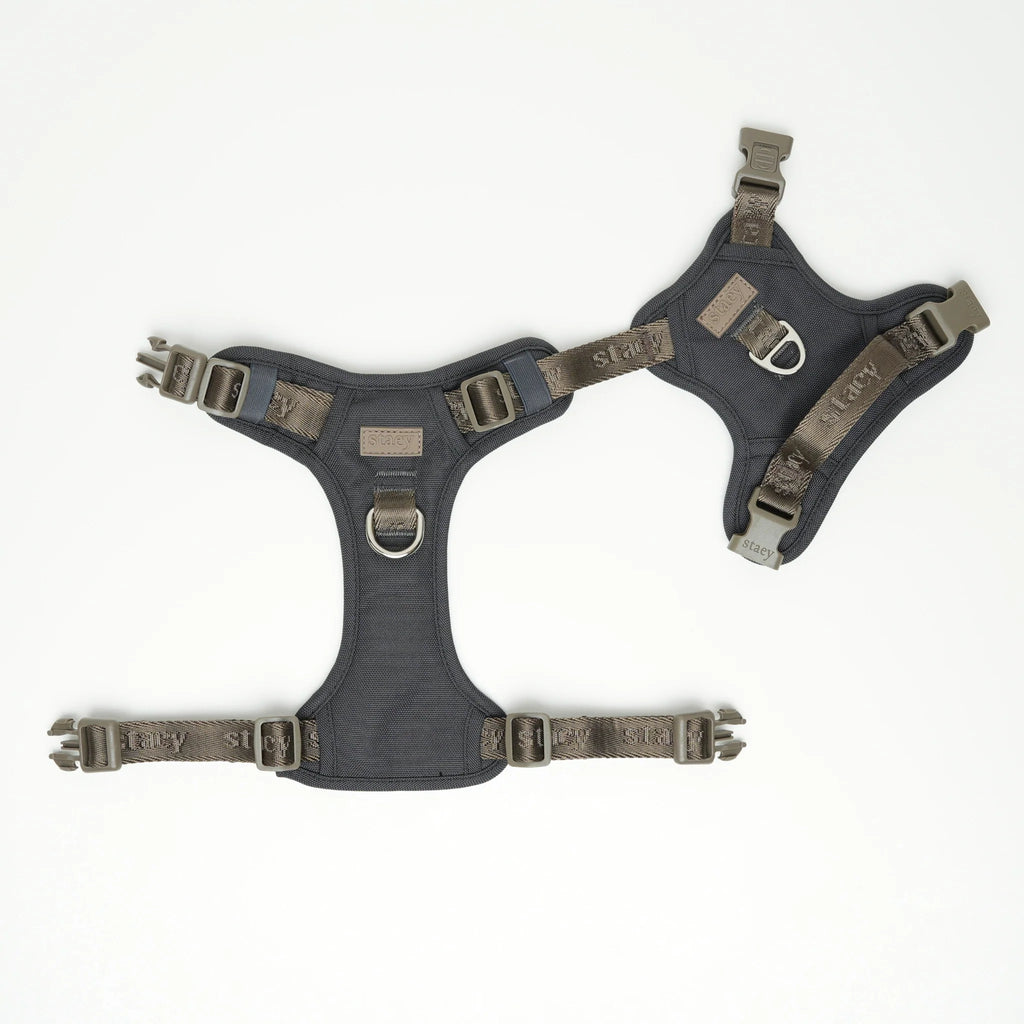 Elma Active Dog Harness | Storm