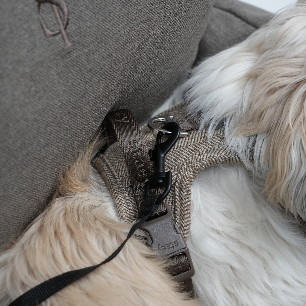 Car Seat Lara 2.0 | Taupe