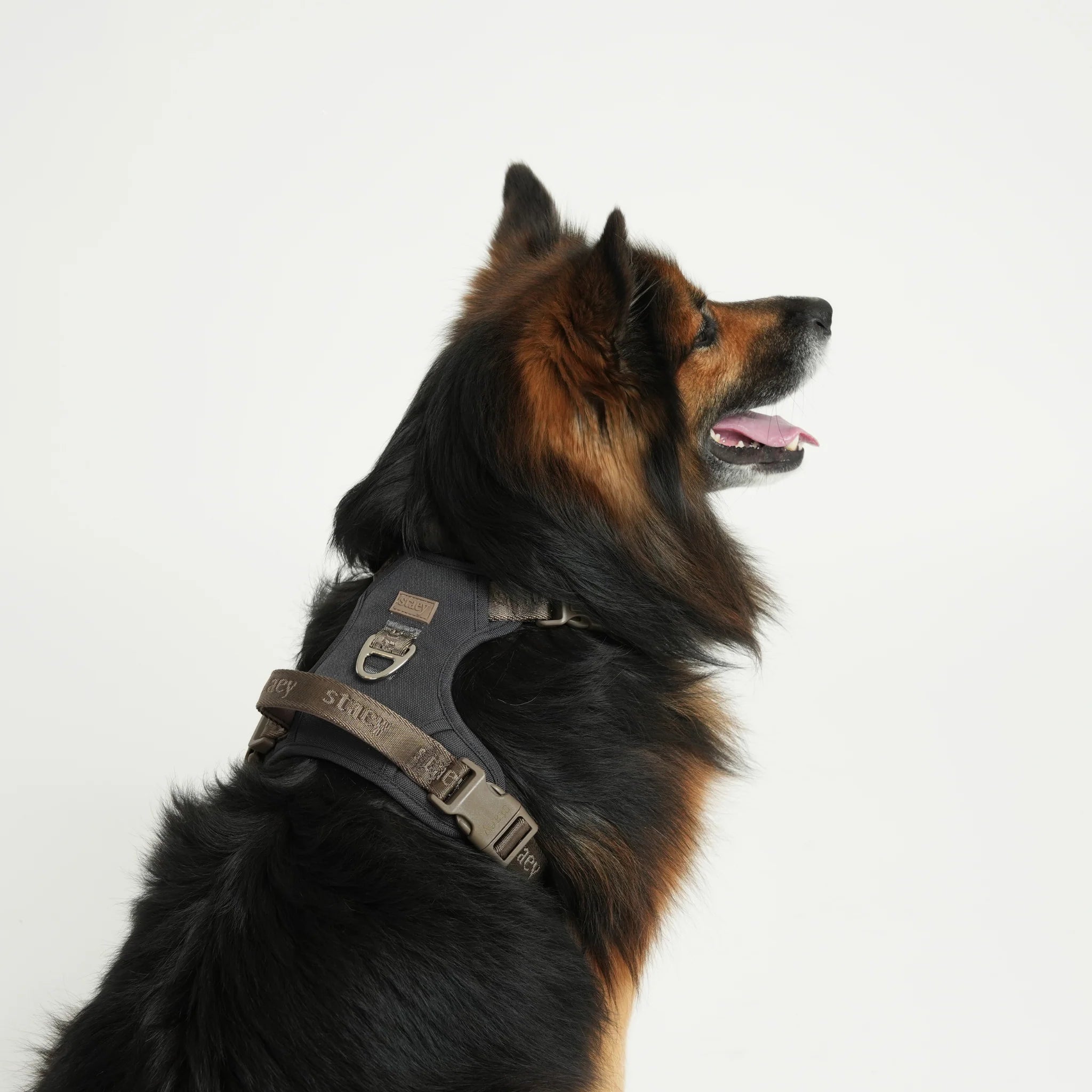 Elma Active Dog Harness | Storm