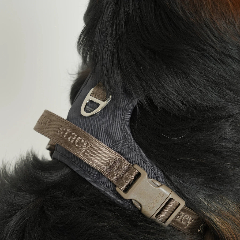 Elma Active Dog Harness | Storm