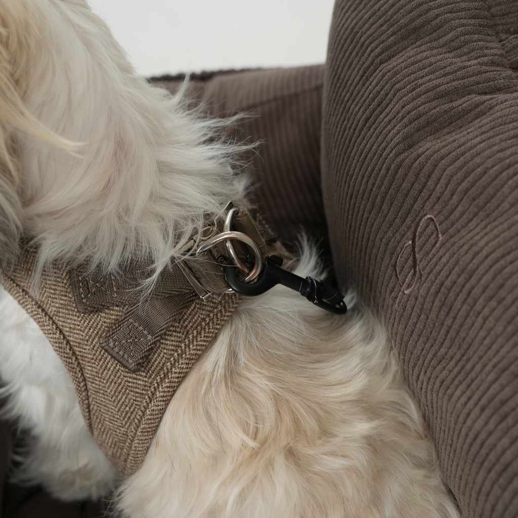 Car Seat Lara 2.0 | Corduroy