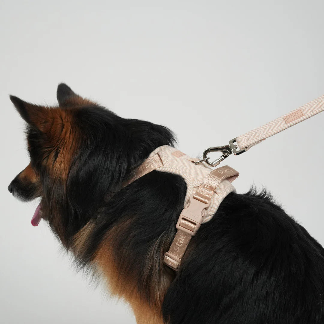 ELMA DOG LEASH | LIGHT ROSE