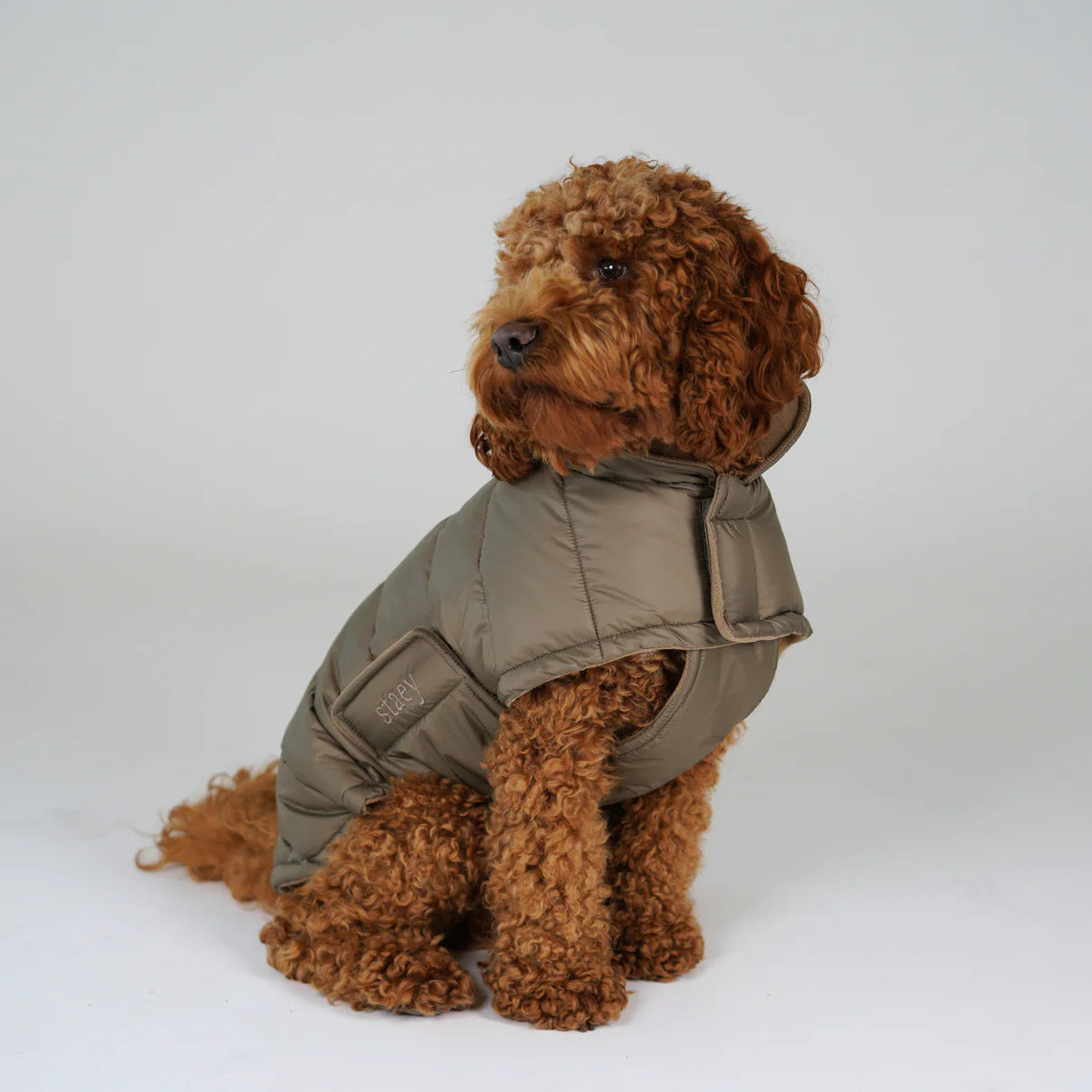 Dog Coat Nora - Taupe