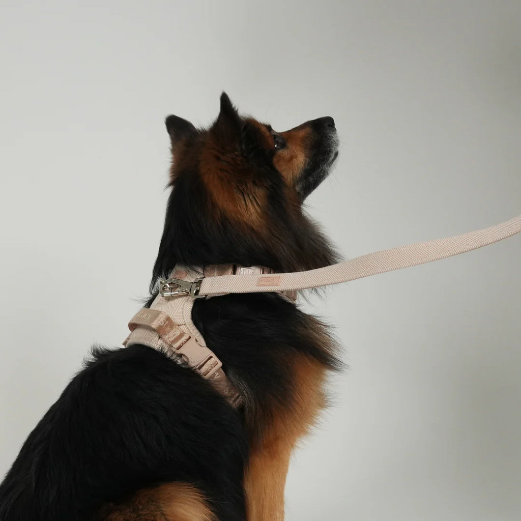 ELMA DOG LEASH | LIGHT ROSE