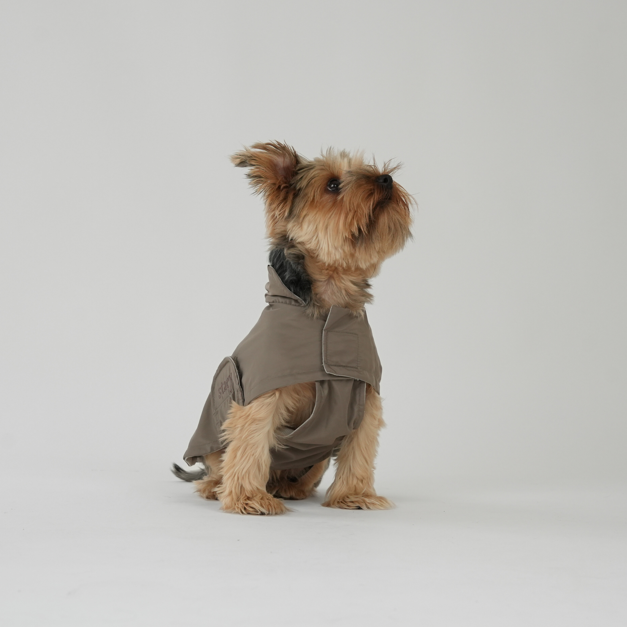 Dog Raincoat Vega - Taupe