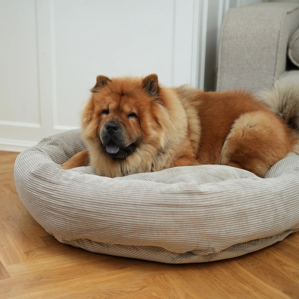 Luna Dog Bed 3.0 | Dune Corduroy