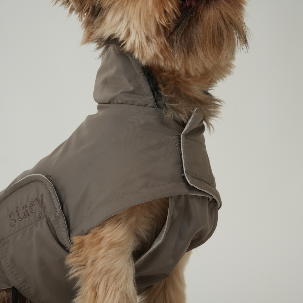 Dog Raincoat Vega - Taupe