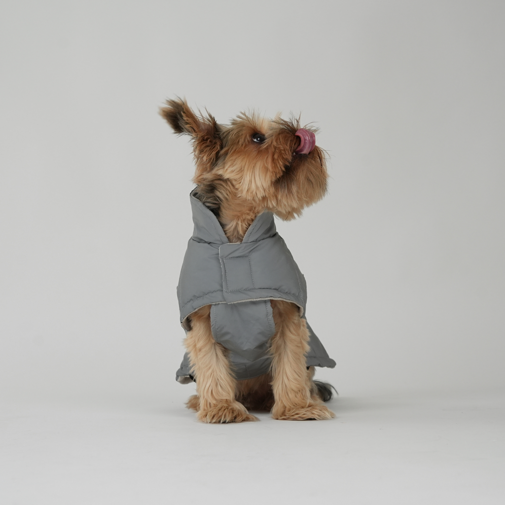 Dog Coat Nora - Reflective