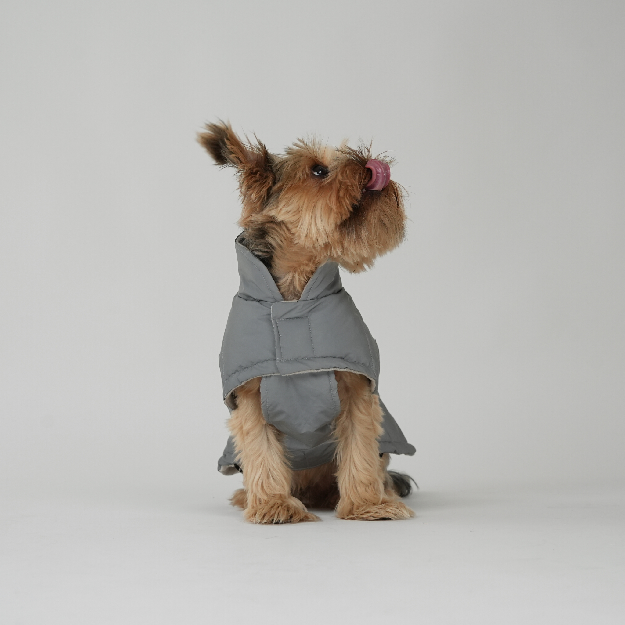 Dog Coat Nora - Reflective