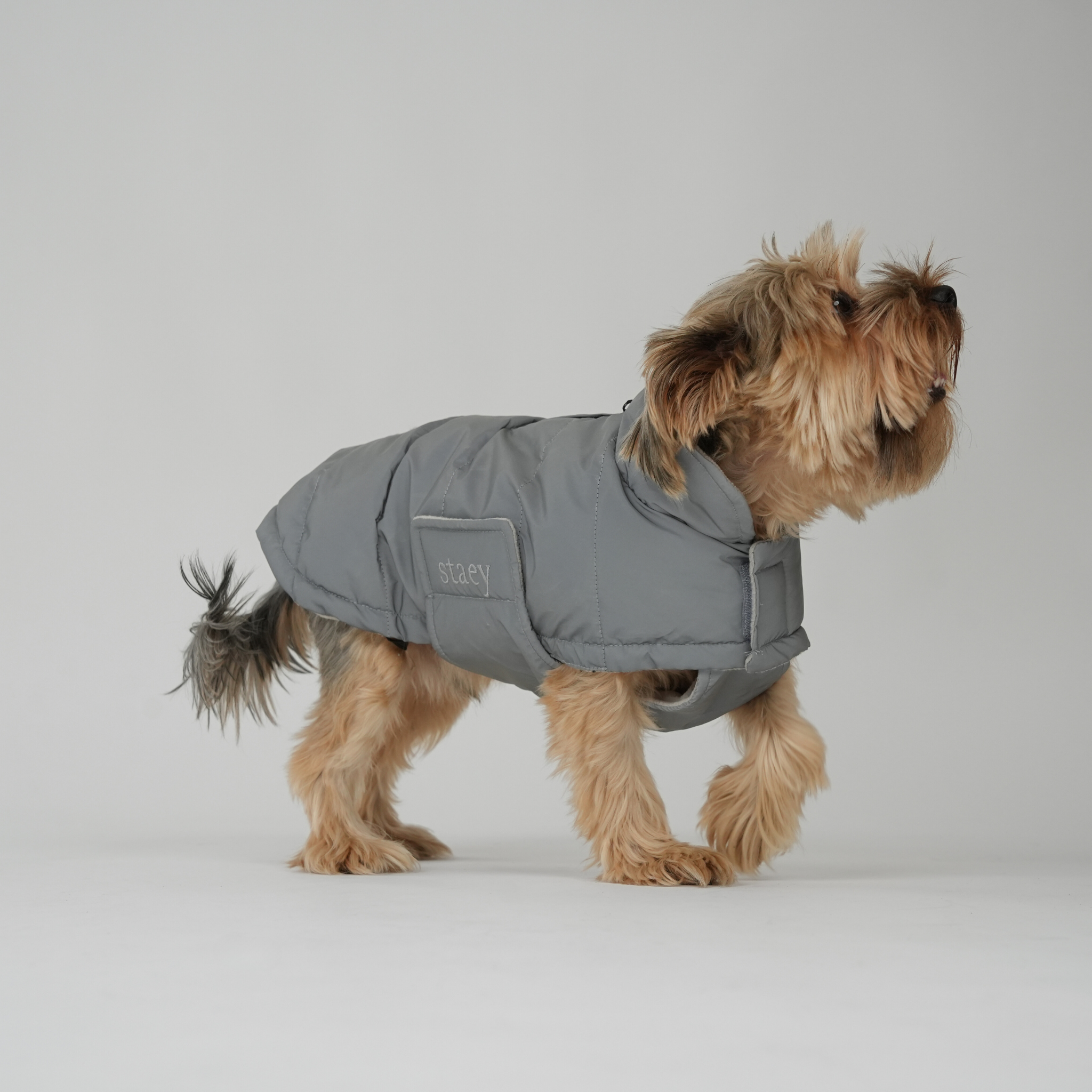 Dog Coat Nora - Reflective