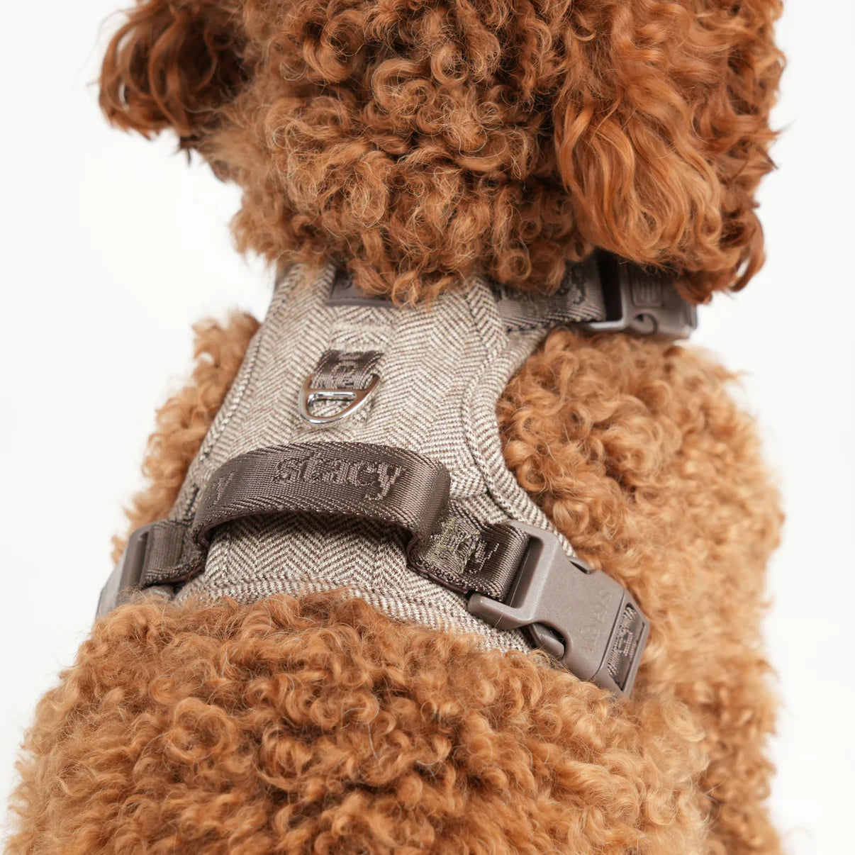 Dog Harness Elma - Mocca