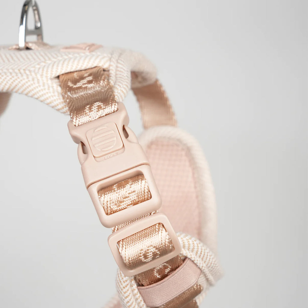 Dog Harness Elma - Light Rose