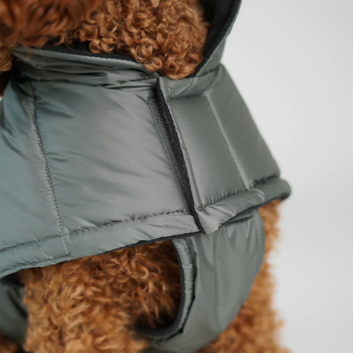 Dog Coat Nora - Moss Green