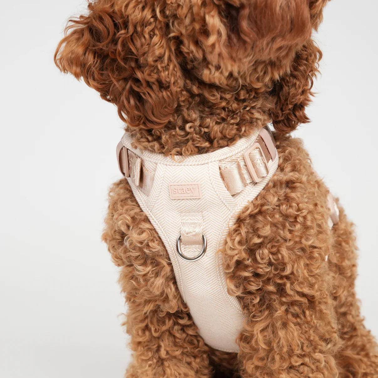 Dog Harness Elma - Light Rose