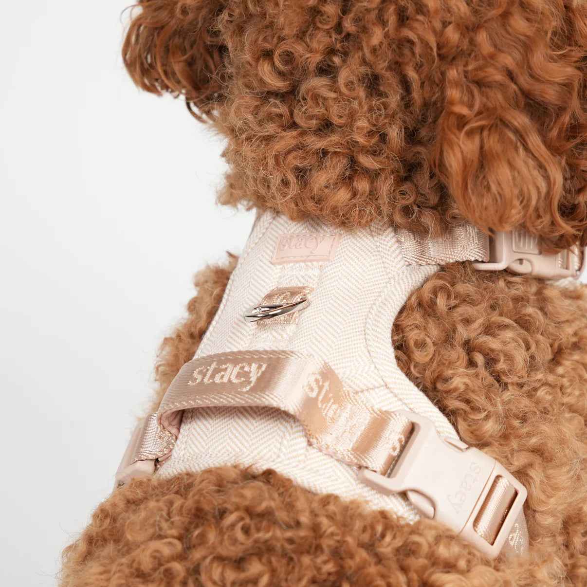 Dog Harness Elma - Light Rose