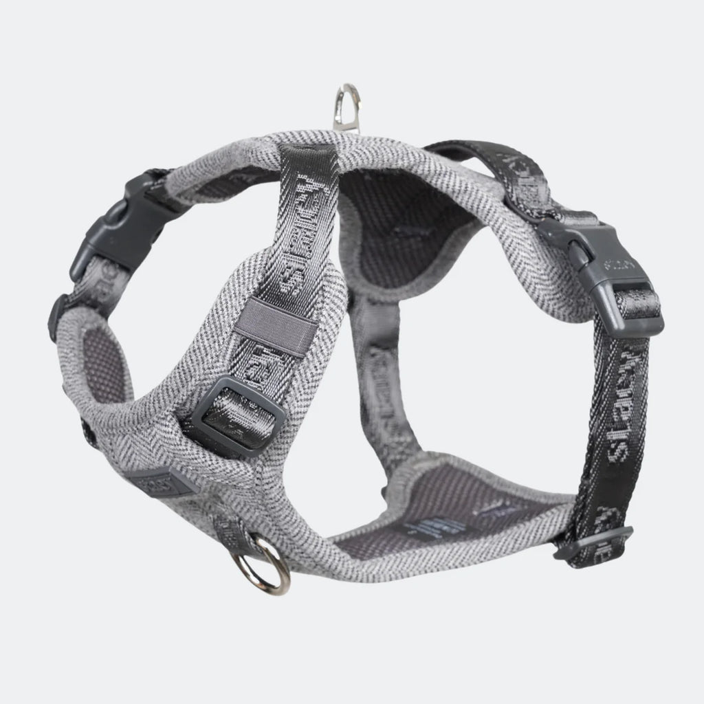 Dog Harness Elma - Dusty Blue