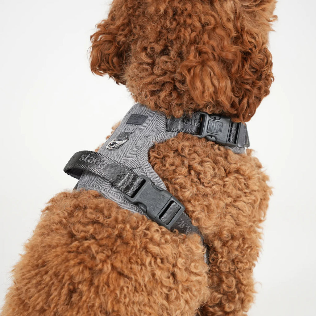Dog Harness Elma - Dusty Blue