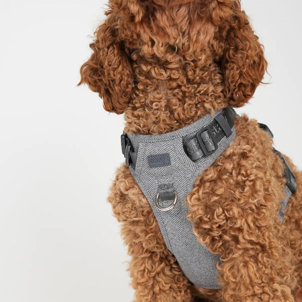Dog Harness Elma - Dusty Blue