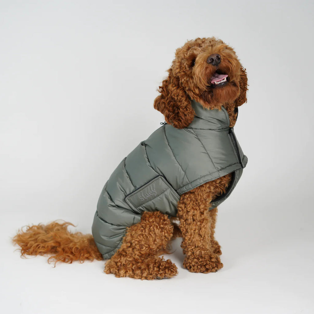 Dog Coat Nora - Moss Green