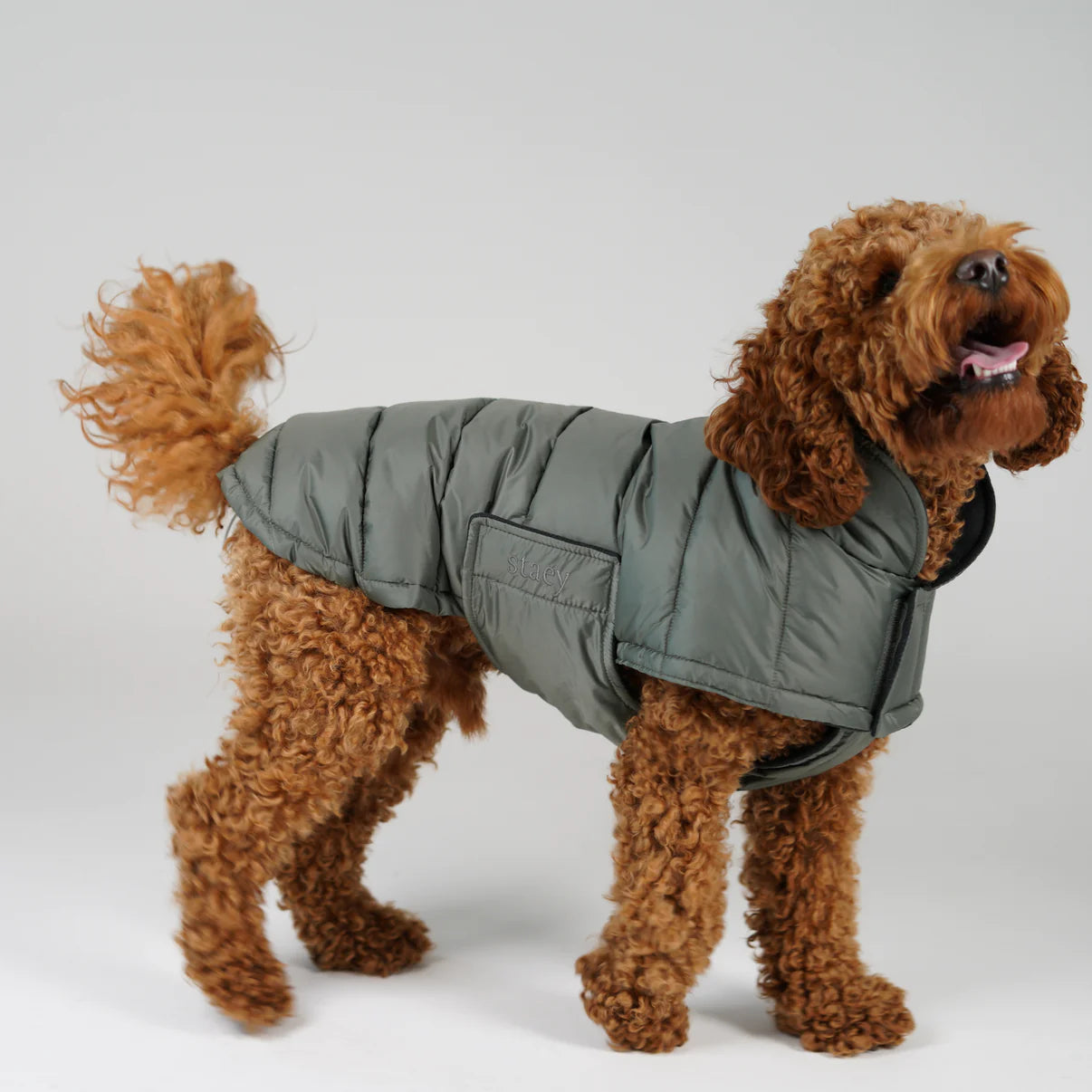 Dog Coat Nora - Moss Green