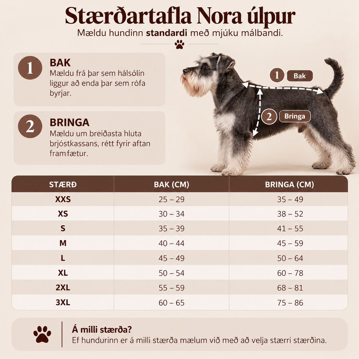 NORA ÚLPA | Moss Green