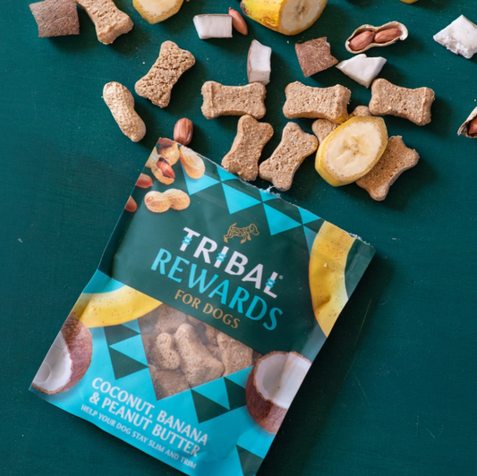Rewards for Dogs  Coconut, Banana & Peanut Butter