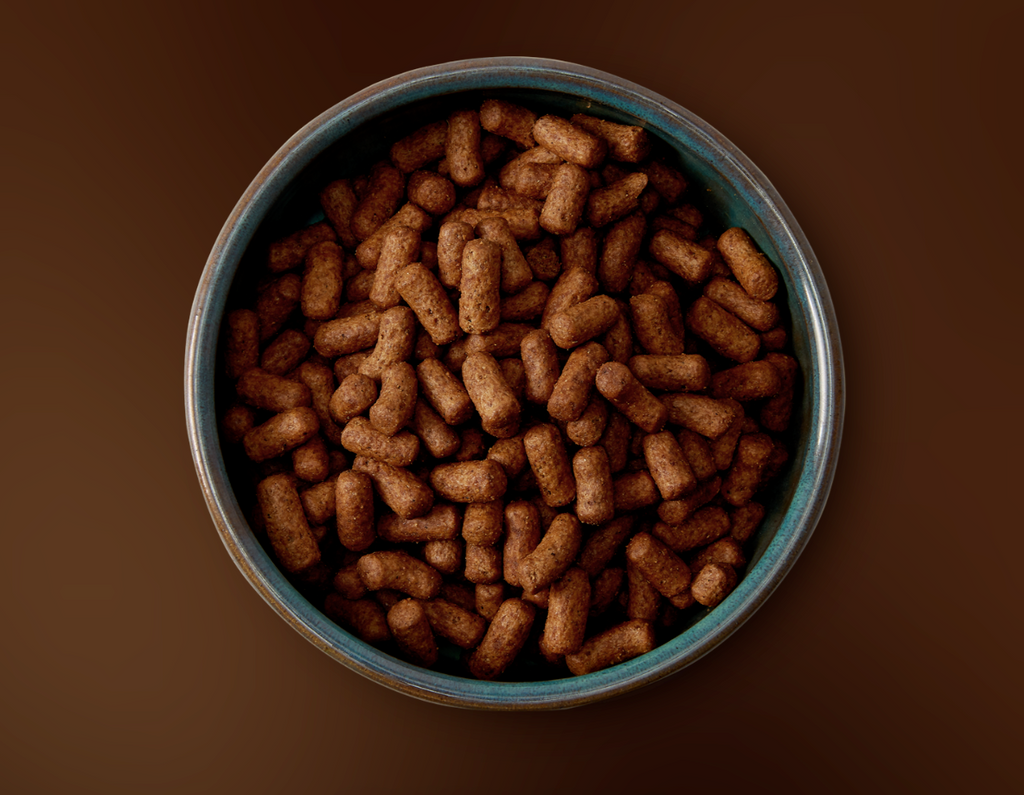 Medium/Large Breed Free Range Chicken &amp; Salmon