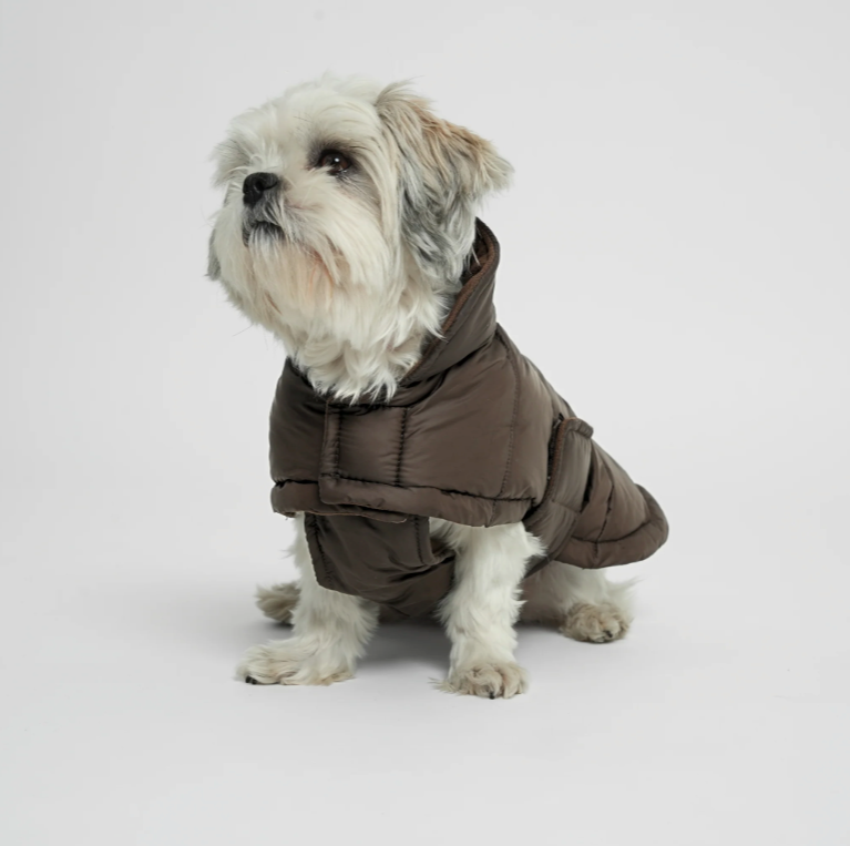 Dog Coat Nora - Espresso