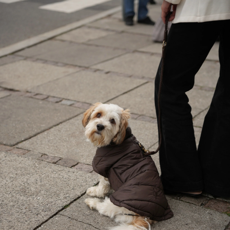Dog Coat Nora - Espresso
