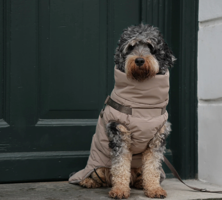 Vera Dog Coat w. Harness | Sand