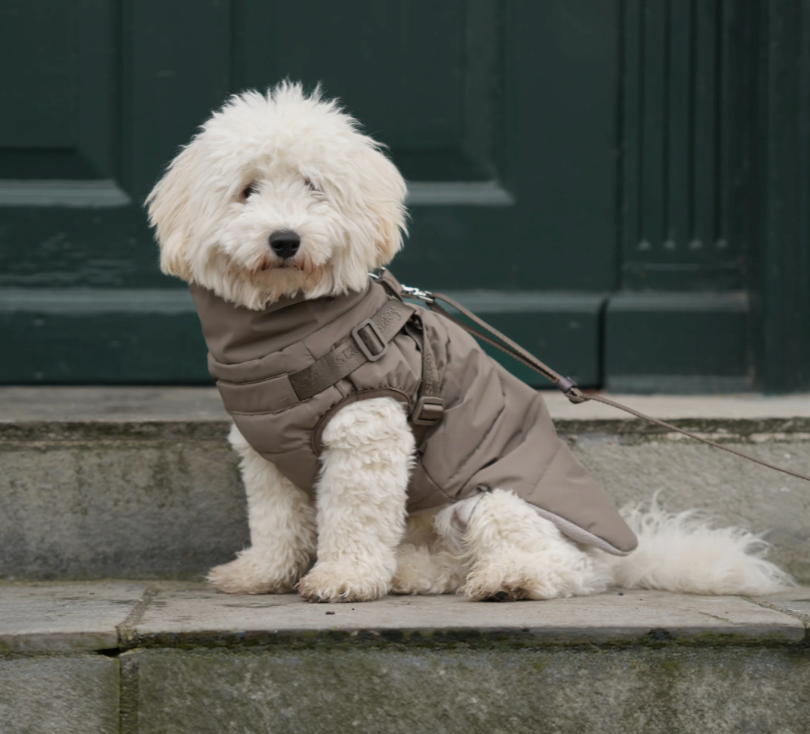 Vera Dog Coat w. Harness | Sage