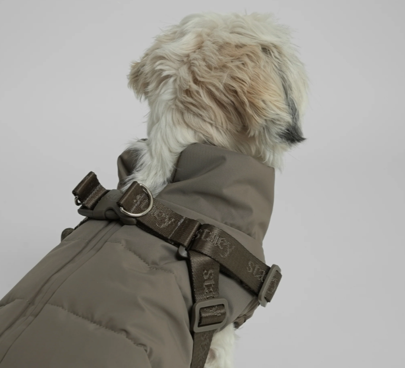 Vera Dog Coat w. Harness | Sage
