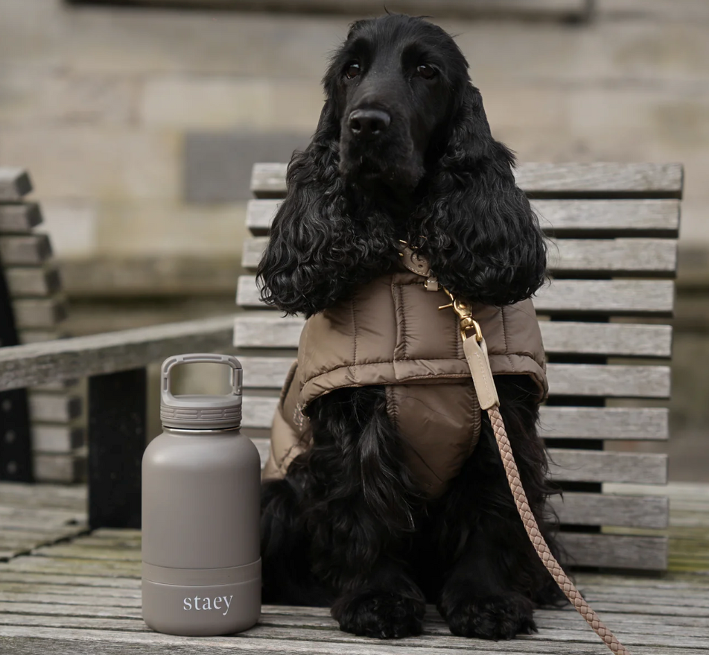 Noona 2-in-1 Bottle w. Bowl | Stainless Steel