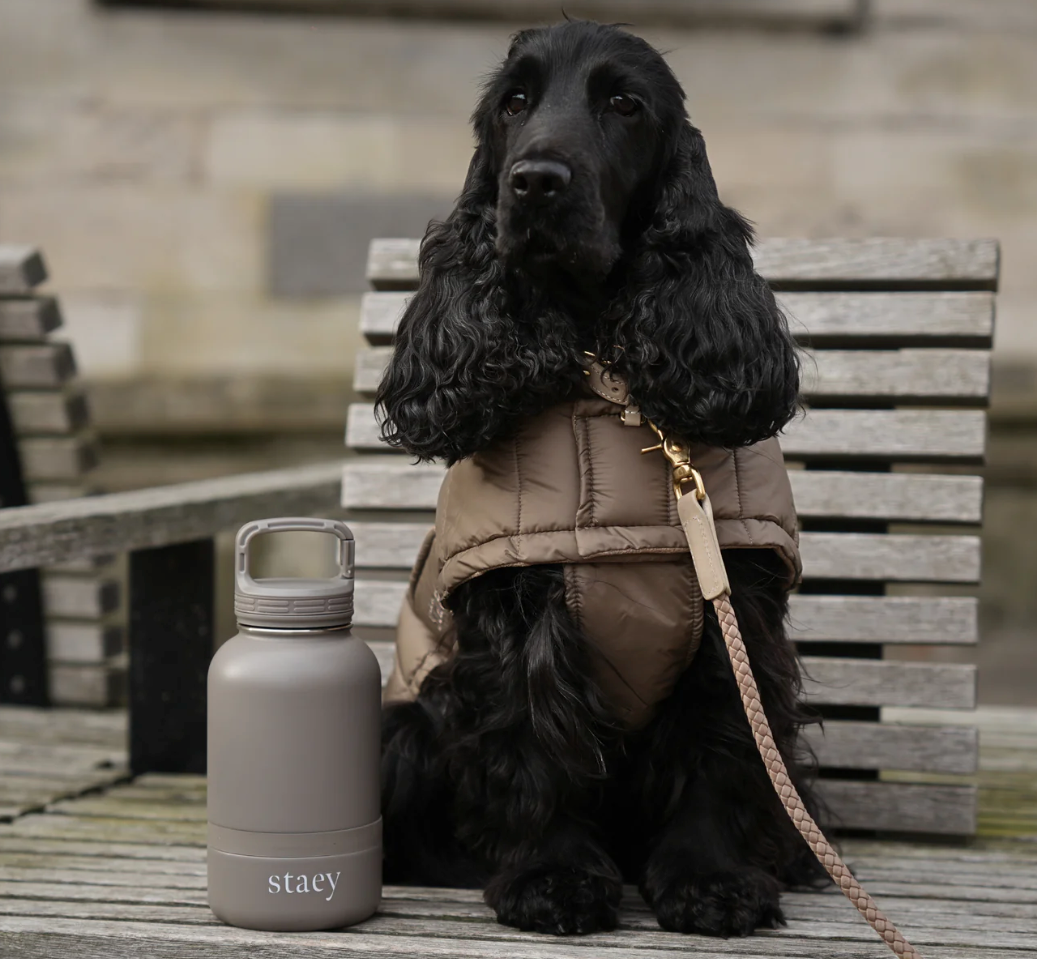 Noona 2-in-1 Bottle w. Bowl | Stainless Steel