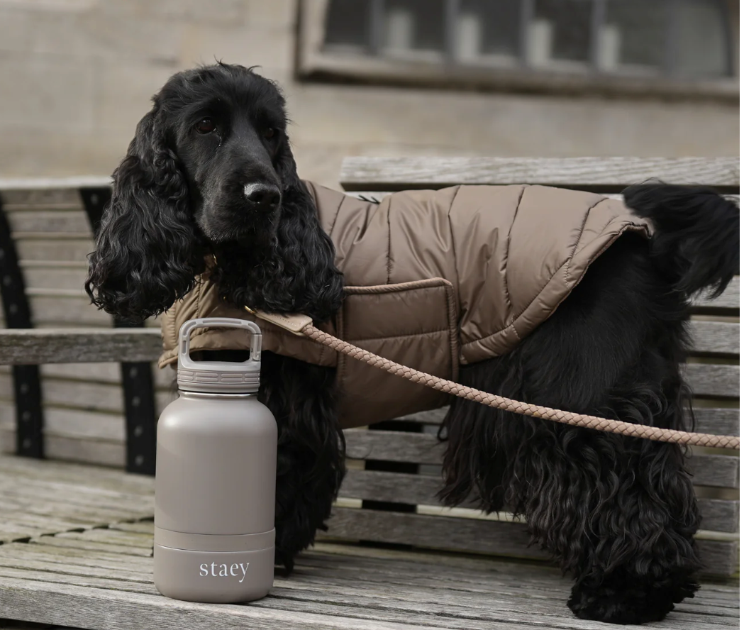 Noona 2-in-1 Bottle w. Bowl | Stainless Steel