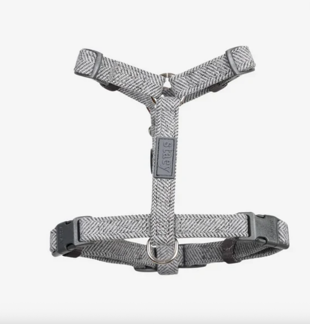 TARA H-STRAP DOG HARNESS | DUSTY BLUE