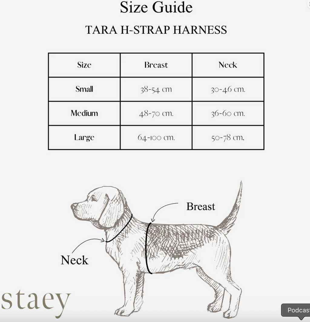 TARA H-STRAP DOG HARNESS | DUSTY BLUE