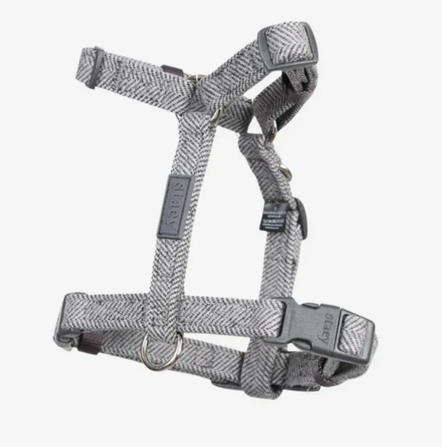 TARA H-STRAP DOG HARNESS | DUSTY BLUE