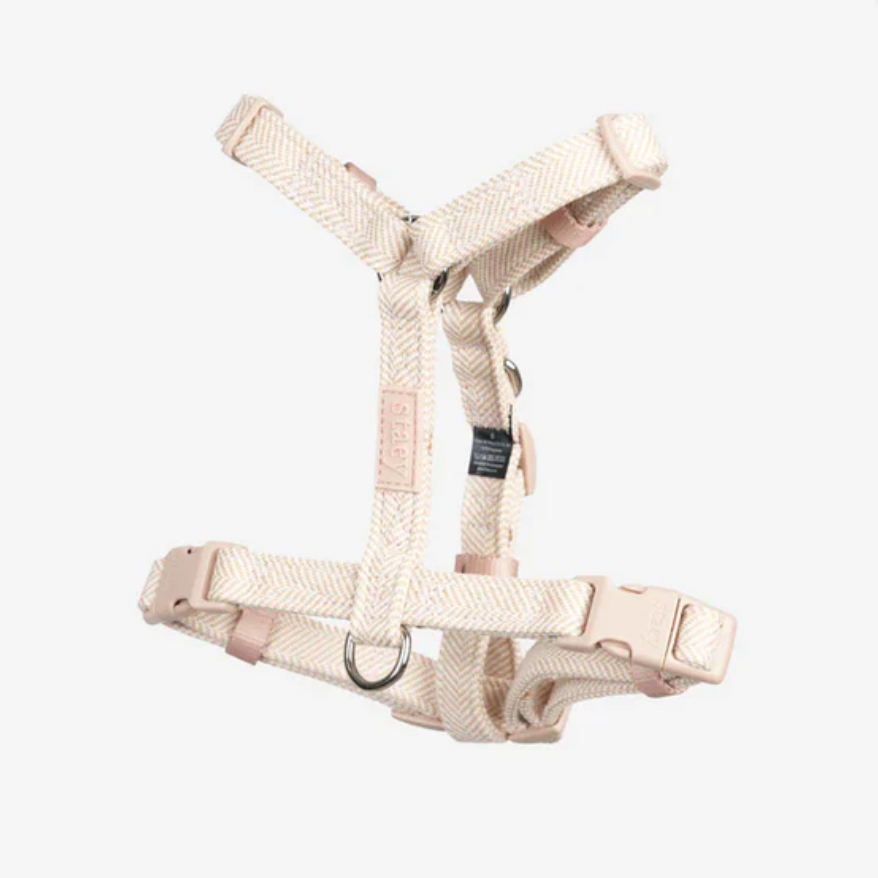 TARA H-STRAP DOG HARNESS | LIGHT ROSE