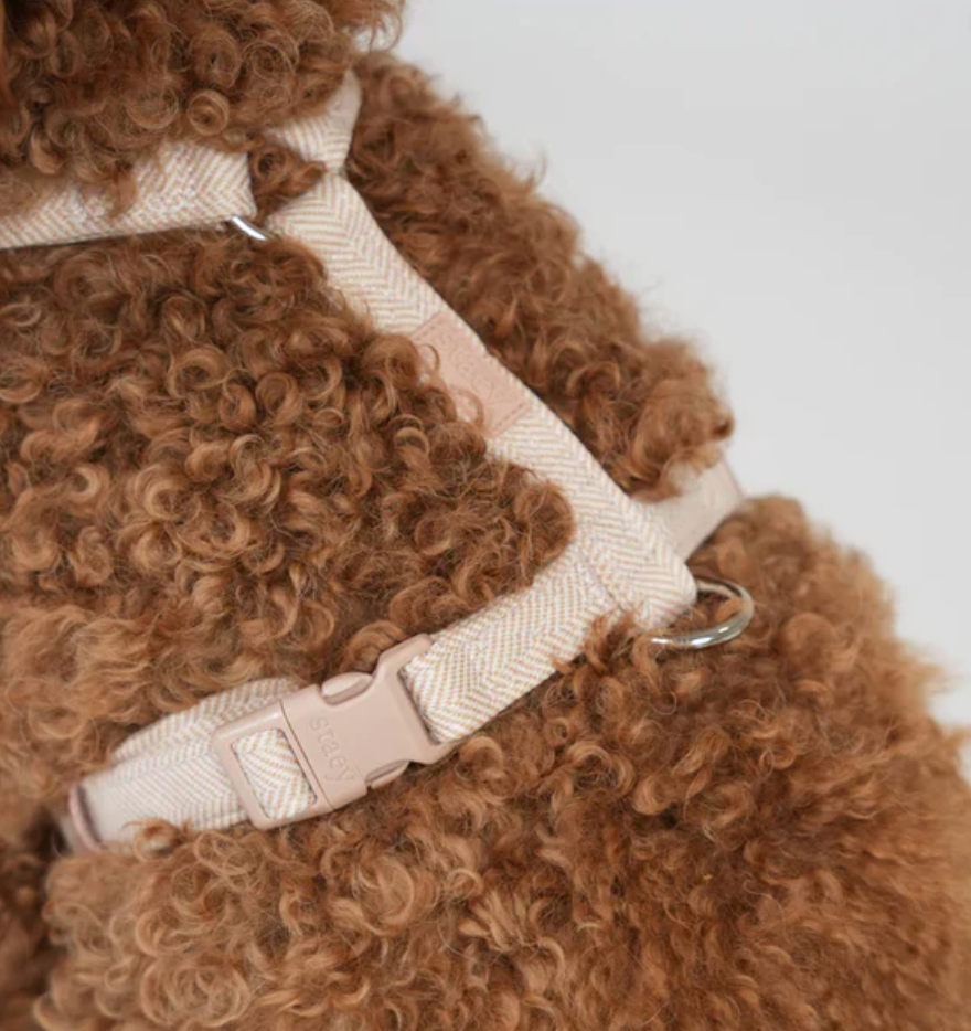 TARA H-STRAP DOG HARNESS | LIGHT ROSE
