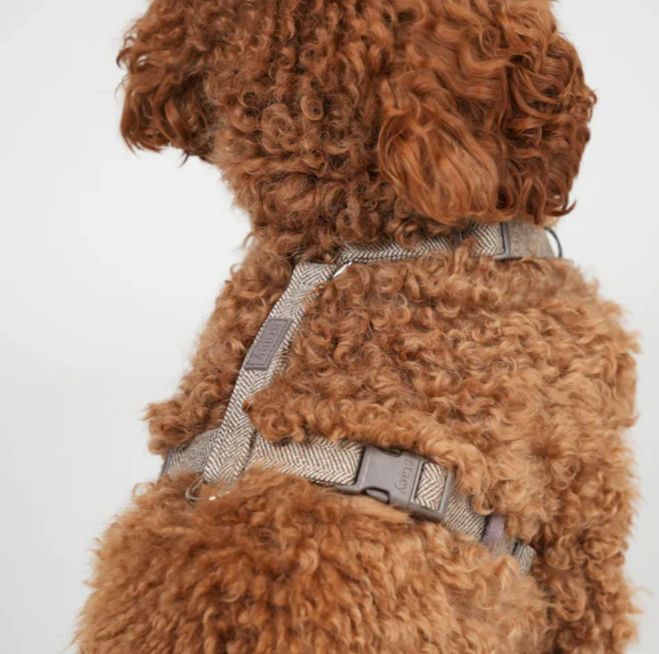 TARA H-STRAP BEISLI | Mocca