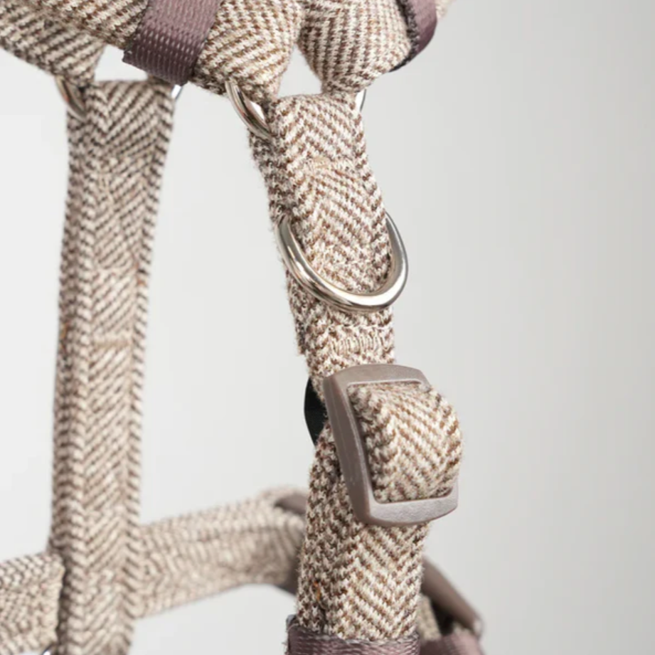 TARA H-STRAP BEISLI | Mocca