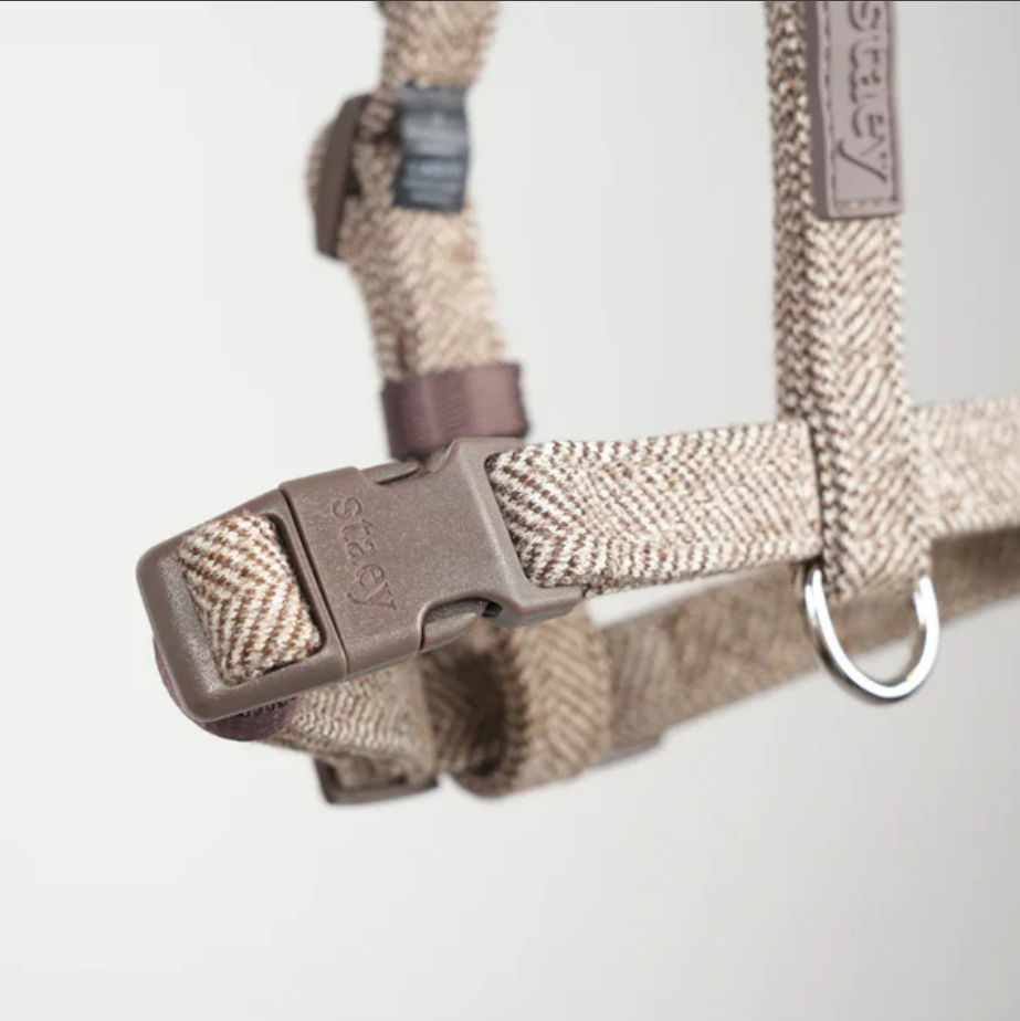 TARA H-STRAP BEISLI | Mocca