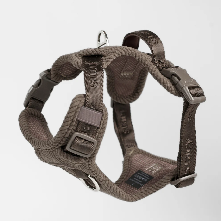 Elma beisli | Dark Oak