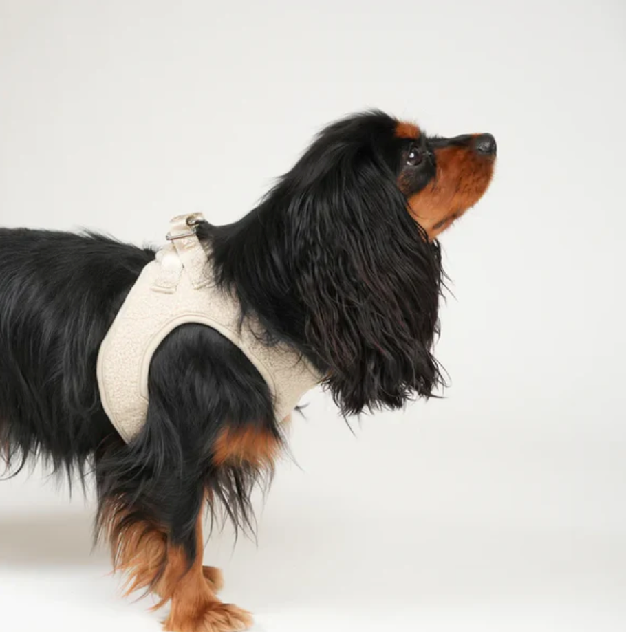 Teddy Step-In Dog beisli | Nature