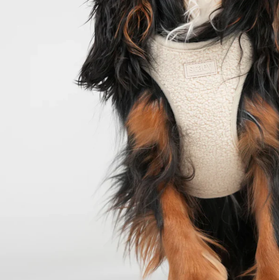 Teddy Step-In Dog beisli | Nature